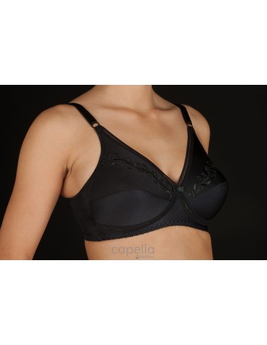 Sujetador clásico sin aros marca...